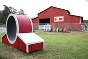BARK outdoors after featuring Dog wheel completed.