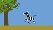 Noch hüpft das Zebra unbeschwert herum.