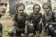 Leaf and other Children of the Forest.