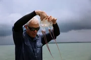 Jeremy Wade holding a box jellyfish in Weipa, Australia.