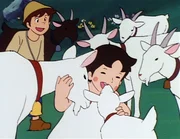 Einige der Ziegen erkennen in Heidi ihre alte Spielgefährtin und Freundin wieder.Â