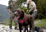 Alan Rabinowitz und Claudia Wultsch hoffen mit Hilfe von Spürhund Bruiser Tigerspuren finden zu können.