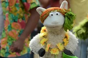 Wolle führt einen Bollywood-Tanz auf.