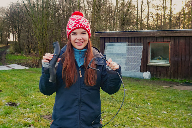 Anna Und Die Wilden Tiere Fuchs