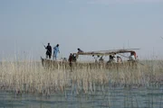 Der Manchar-Lake ist seit Jahrtausenden die Heimat von Menschen, die auf ihren Hausbooten leben.