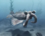 Der Anomalocaris lebte vor ca. 530 Millionen Jahren in den Ozeanen der Welt. (Animation)