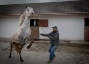 Ennistymon / Willie Daily the Matchmaker