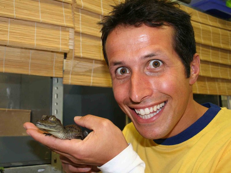 Willi wills wissen Wer kuschelt mit den Krabbeltieren? [S05E12] TV