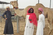 Die Kamelfarmerin in der Wüste von Dubai stellt Kamelmilch für Edelschokolade her.