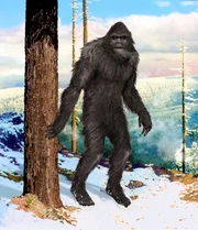 Augenzeugen beschreiben Bigfoot als ein großes, affenähnliches Wesen. (Animation)
