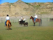 Cowboys