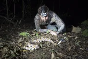 Forrest Galante comes close to a venomous 100 Pacer snake in Yushan National Forest.