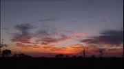 Kruger Nationalpark, Suedafrika