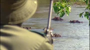 Ranger spuert Nilpferd auf