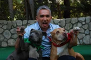 Cesar Millan stattet ehemaligen Problemfällen einen Besuch ab, um zu sehen ob sich die Beziehungen der Hunde und ihrer Besitzer auch auf lange Sicht entscheidend gebessert haben ...