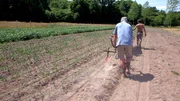 Permakultur - Landwirtschaft im Kreislauf der Natur