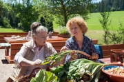 Leni (Heidi Vogel-Reinsch, li.) wollte eigentlich die Rhabarberernte mit Johana verarbeiten. Bea (Christiane Brammer) springt spontan ein.