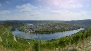 Die Römer brachten ihre Lebensart mit in die Provinzen. Dazu zählte auch der Wein, den sie an Rhein und Mosel, wie hier in Piesport, anbauten.