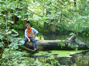 François Skyvington entdeckt die Schönheit des Spreewalds, eine Region, die aus Wäldern, Sümpfen und unzähligen Kanälen besteht.