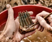 Munition, die bei den Ausgrabungsarbeiten eines Archäologenteams im belgischen Mesen zutage befördert wurde