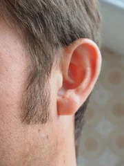 ear