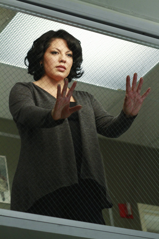 Arizona und callie kennenlernen