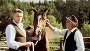 Klaus Wildbolz (Markus Graf von Brauneck), Walther Reyer (Dr. Pankraz Obermayer) Markus von Brauneck macht sich Sorgen um sein krankes Pferd und wendet sich an den erfahrenen Pankraz.