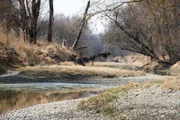 Nationalpark Donauauen. Nationalpark Donauauen.