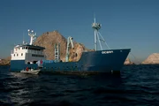 Farallon Islands, California, USA: Full view of the Mother Ship Ocean in front of the jagged Farallon terrain. The zodiac parallels the mother ship.