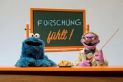 Emotionen Pur: Krümel und der Professor