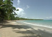 hr-fernsehen TROPISCHE TRAUMZIELE: DOMINIKANISCHE REPUBLIK, BALI, BRASILIEN, am Freitag (08.06.12) um 21:40 Uhr.
Strand bei Las Terrenas im Nordosten der Dominikanischen Republik.