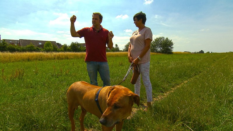 Der Hundeprofi Bilder - TV Wunschliste