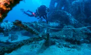 An einem Wrack vor North Carolina suchen Taucher nach Fischarten, die mit dem Golfstrom nach Norden vordringen.