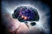 The Brain.