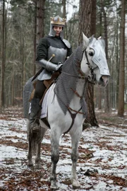 Richard (Aneurin Barnard) weiß, dass er die Schlacht, von der sein Schicksal als König abhängt, nicht länger verhindern kann ...