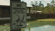 No trespassing: Violators will be eaten -  sign and lake.