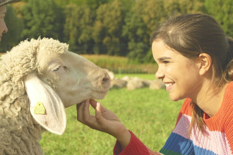 Anna Und Die Wilden Tiere Kaninchen