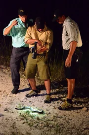 Die Python Jäger (v.l.) Michael Cole, Shawn Heflick und Greg Graziani testen ihre neue Kamera.