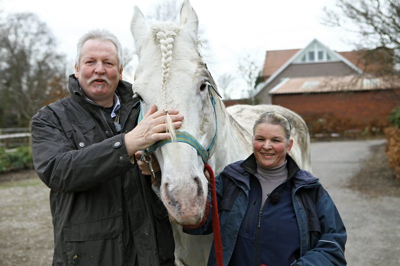 Der XXL-Ostfriese Bilder - TV Wunschliste