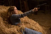 Evan Rachel Wood as Dolores Abernathy