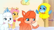 Le petit paradis des Palace Pets