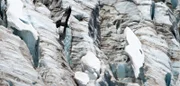 Im Windschatten der Anden liegt die trockene Seite Patagoniens, wer hier überleben will, muss besonders erfinderisch und robust sein ...