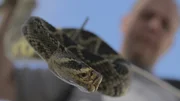 Justin Bottrell with an Eastern Diamondback Rattlesnake.