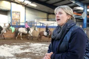 Alberts Tochter Silke gibt Reitunterricht.