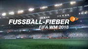 Logo: "Fußball-Fieber - Das WM-Magazin"