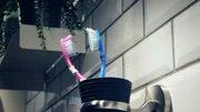 Manu macht Bekanntschaft mit der neuen Zahnbürstin.