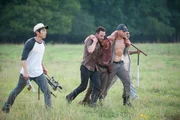 Glenn (Steven Yeun), Rick Grimes (Andrew Lincoln), Daryl Dixon (Norman Reedus), Shane Walsh (Jon Bernthal) and T-Dog (Robert 'IronE' Singleton) - The Walking Dead - Season 2, Episode 5 - Photo Credit: Gene Page/AMC
