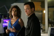 Detective Stella Bonasera (Melina Kanakaredes) und Detective Mac Taylor (Gary Sinise) wollen herausfinden, wer das Mitglied eines gewieften Einbrecher-Duos umgebracht hat.