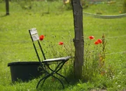 Sehnsucht nach Landleben - Viele Städter suchen Ruhe und Idylle auf dem Land.