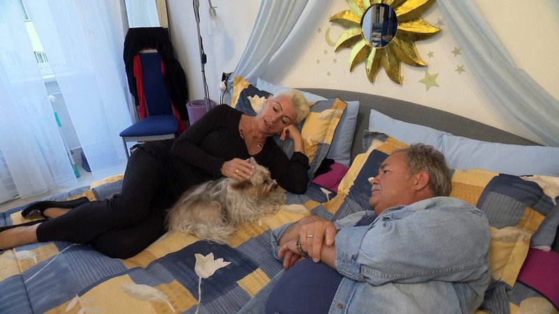 mein hund dein hund mein hund dein hund